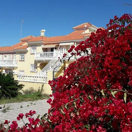 Carolinas Aptmt Orihuela