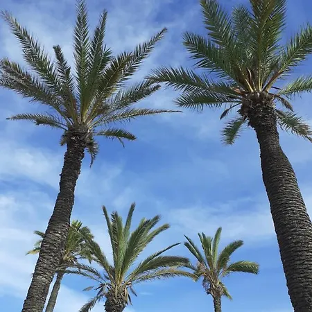 Διαμέρισμα Carolinas Aptmt Orihuela Villacosta