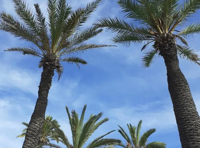 Apartamento Carolinas Aptmt Orihuela Villacosta